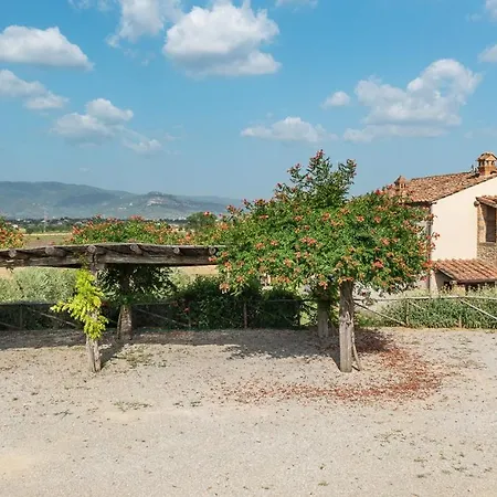 Ronzano 10 Cortona